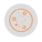 نانهای مسطح